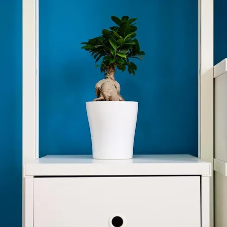 Apartment L'aurora